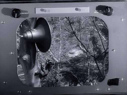 Au-del&agrave; du r&eacute;el 1964 Le cam&eacute;l&eacute;on